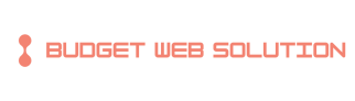 Budget Web Solution Logo