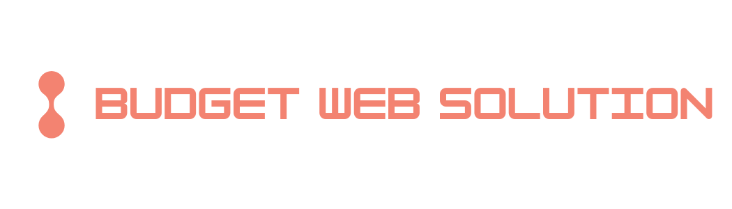 Budget Web Solution Logo